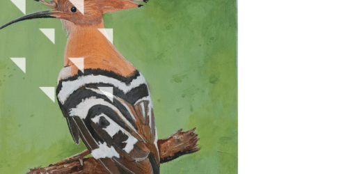 Vernissage de l'exposition "Les oiseaux de mon jardin" à Amanlis