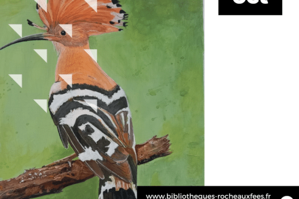 Vernissage de l'exposition "Les oiseaux de mon jardin" à Amanlis