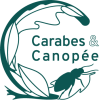 logo Carabes et canopée